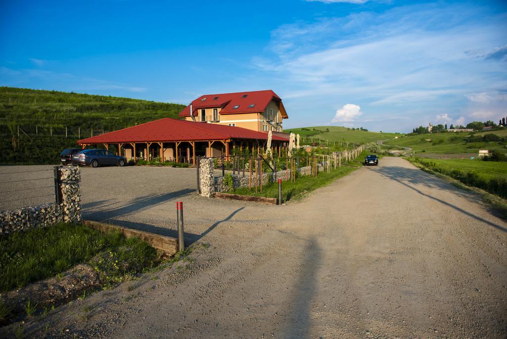 Sarea-N Bucate Hotel Турда Екстериор снимка